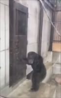 16059233958420.webm