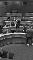 17316124832770.mp4