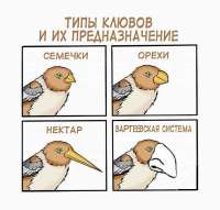 17142414108270.png