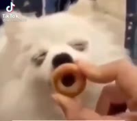 17480923295290.mp4