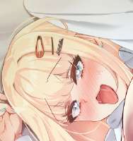 7896456.jpg