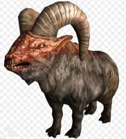 buildobaran.jpg