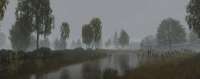 IMG-0384.jpg