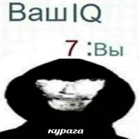iq.jpg