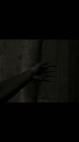 1747442995604.mp4