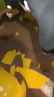 1748026379534.mp4