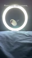 1748343041239.mp4