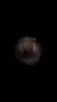 1748397073240.mp4