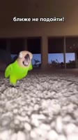 1749819102985.mp4