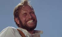 15354977167400.webm