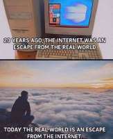 13674546.jpg