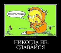 ba0c66203226cc6fb902bf785b91e88e.jpg
