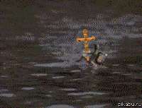 154873877318947943.gif
