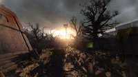 there-is-beauty-in-the-zone-stalker-gamma-screenshots-v0-kt4x4rgjsj891.png