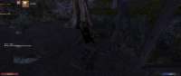 Gothic220250623215705428.jpg