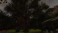Gothic 2 Screenshot 2025.06.24 - 10.52.04.53.png