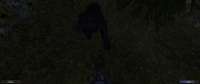 Gothic220250624220309403.jpg