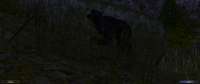 Gothic220250624220321107.jpg