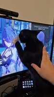 @ru2chvg.mp4