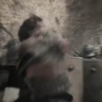 17475980753020.mp4