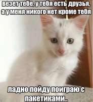 изображение.png
