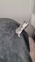 1000004552.webm