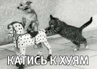 1749380466776.jpg