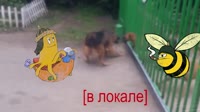 videoplayback.mp4