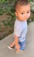 17475517738591.mp4