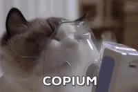 16788169579690.gif.mp4