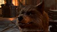 Baldurs Gate 3 Screenshot 2025.05.24 - 20.37.08.95.png