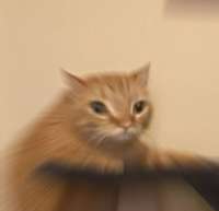 1729763249415919.jpg