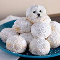 Pudel Berliner.jpg