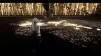 17476808949690.webm