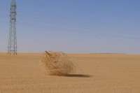 the-true-importance-of-tumbleweeds-510851750.jpg