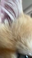 1747995192387.mp4