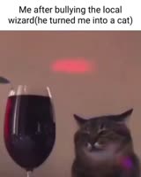 1748302462303.mp4