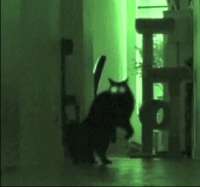 1748930694039.gif