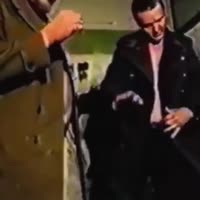 17439564090590.mp4
