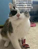 17499203331000.png