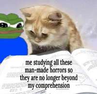 1742463404712001.jpg