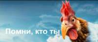изображение.png