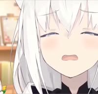 17244111574330.mp4