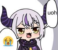 101i.jpg