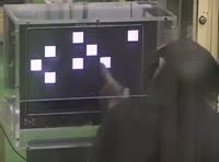 73VD.mp4