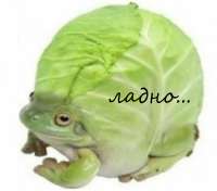 BXXzQXxxxH8.jpg