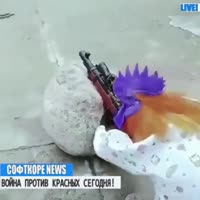 1711111182217.mp4