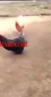 17442861869760.webm