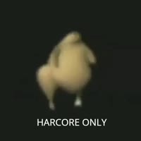 17288893488730.mp4