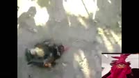 174825742676383118.mp4